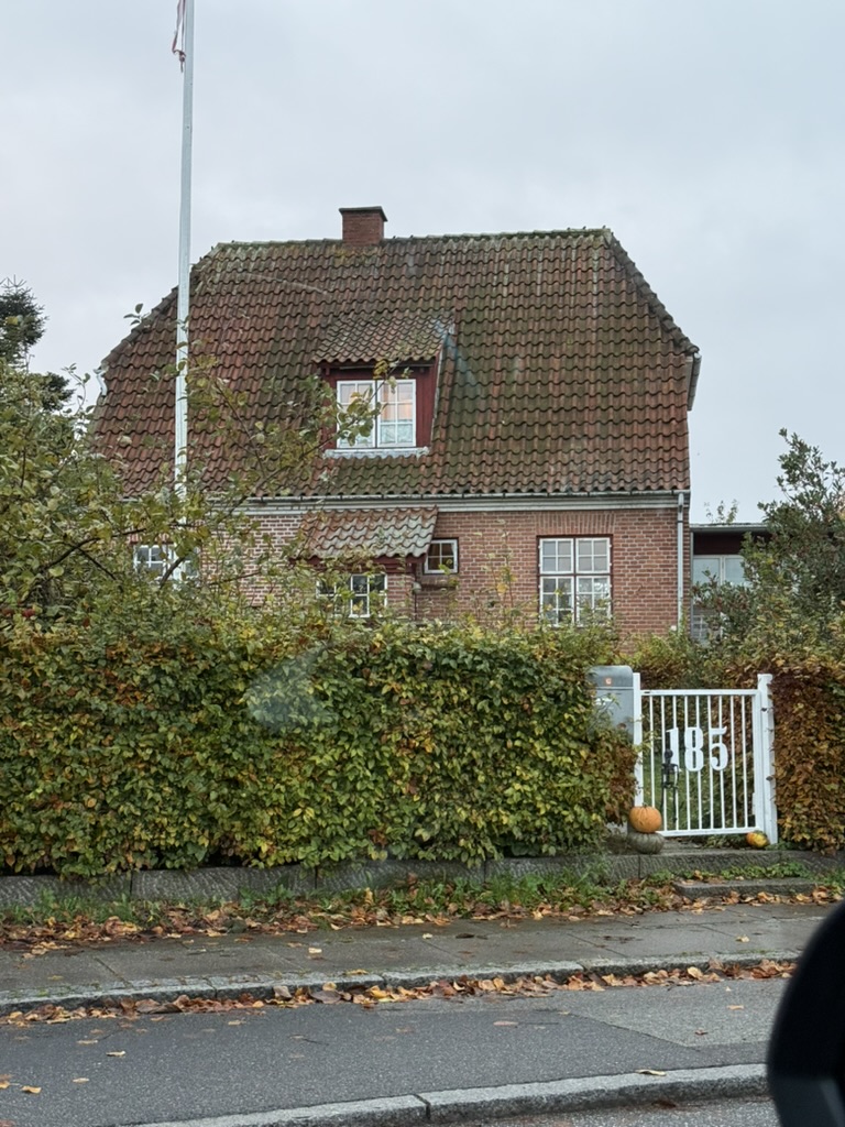 Tegltag villa med kviste set fra gaden med hæk og flagstang